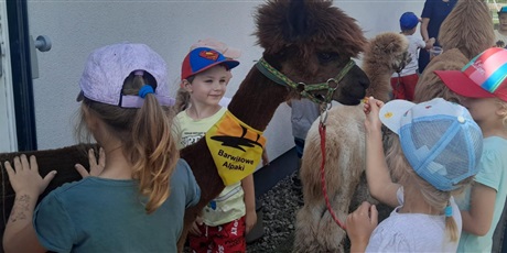 Powiększ grafikę: GALERIA 2024