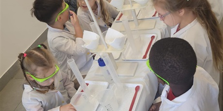 Powiększ grafikę: GALERIA 2025