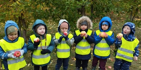 Powiększ grafikę: GALERIA 2025